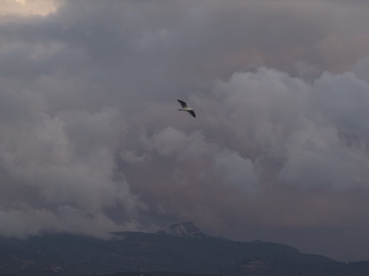 Ciel couvert