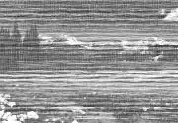 prairie