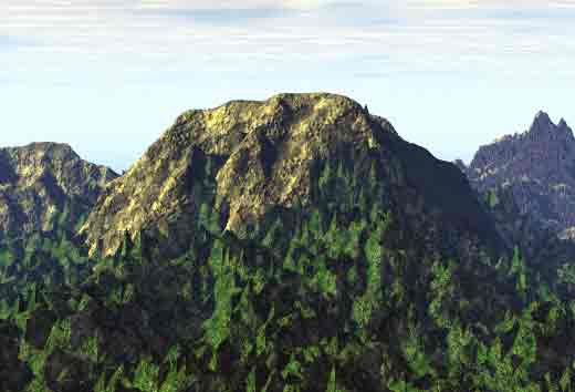 forêt