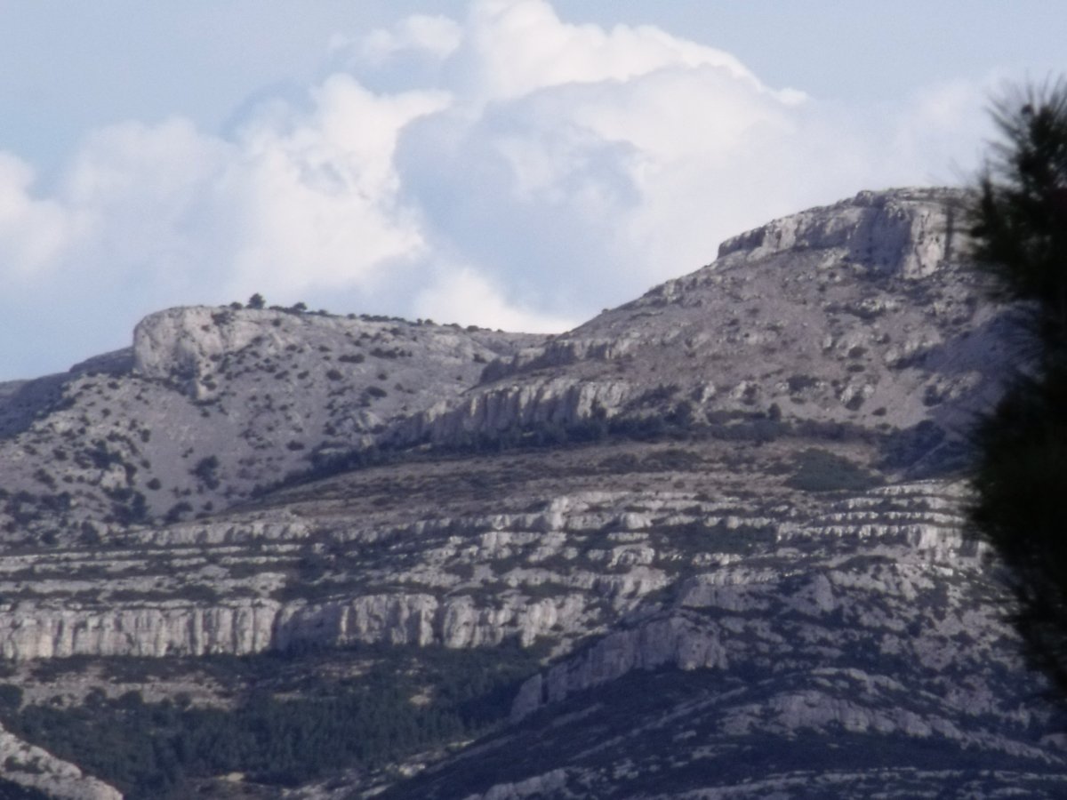 Falaise