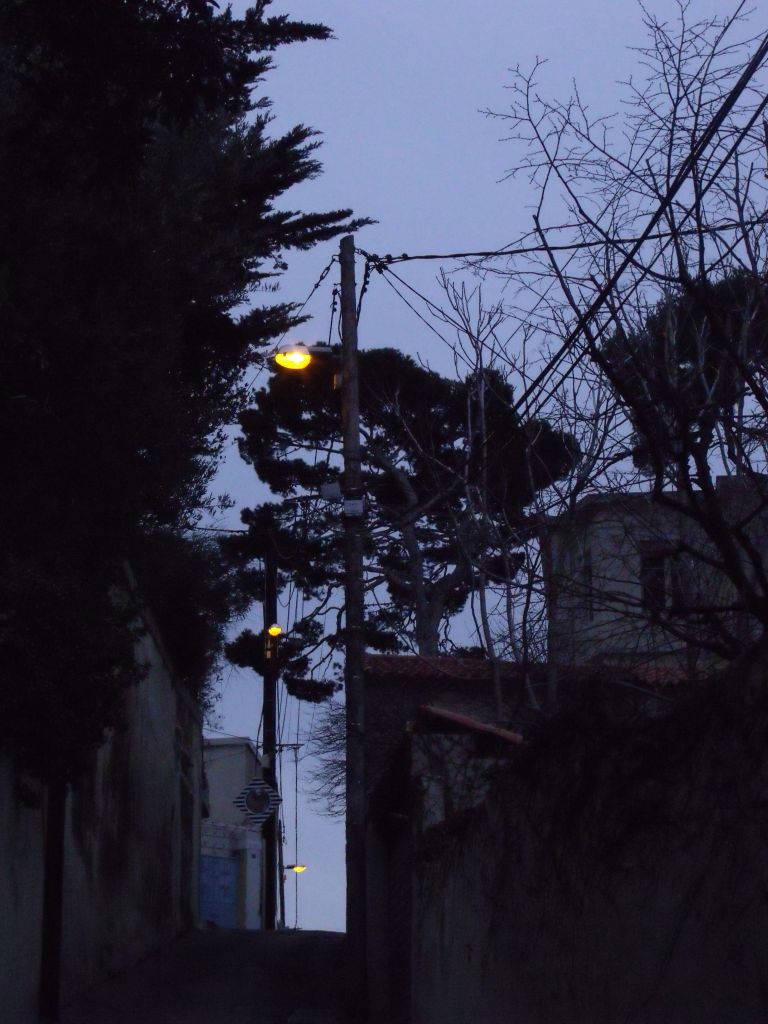 ruelle