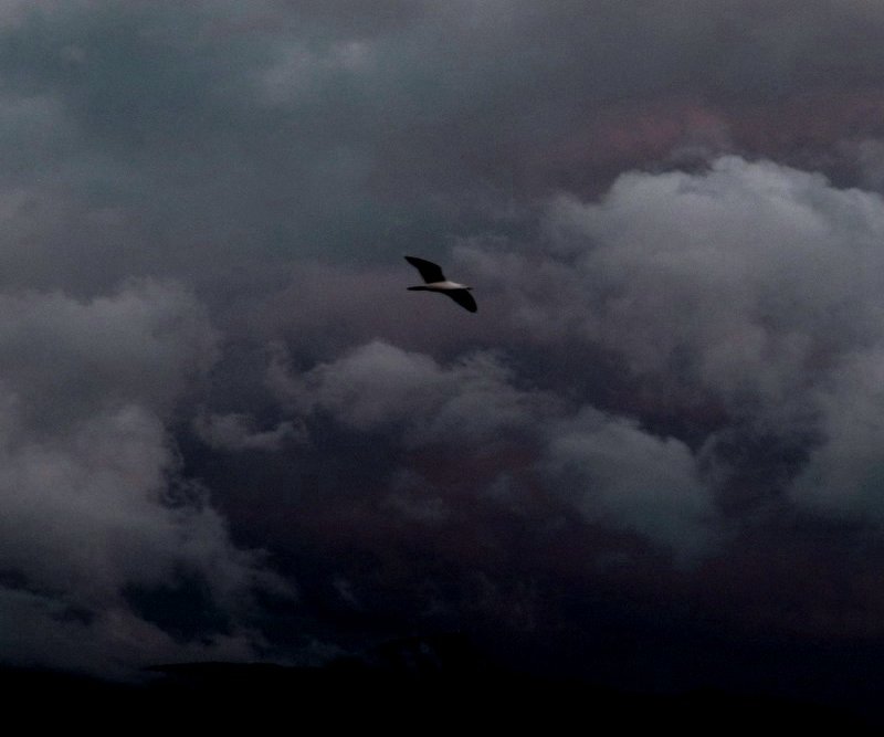 Ciel couvert