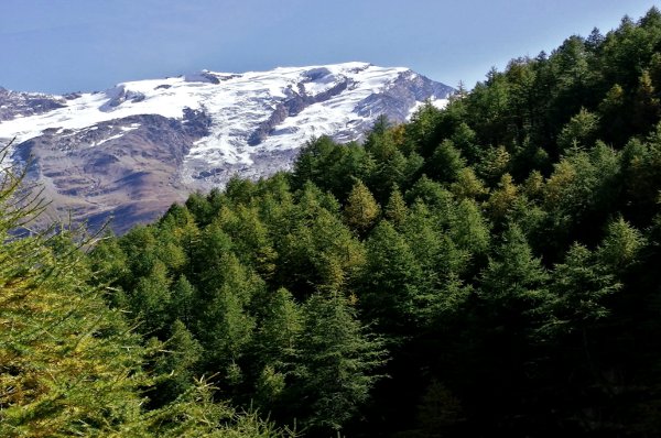 En forêt