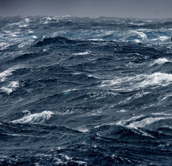 Vagues des mers australes