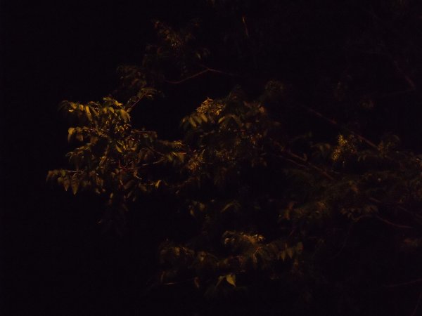 La nuit