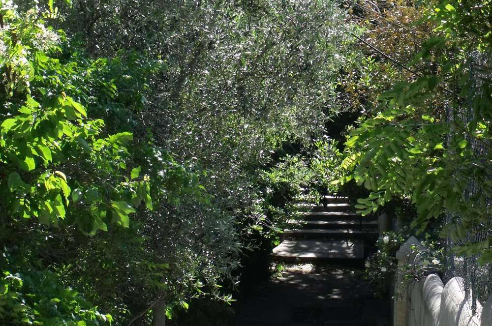Ruelles