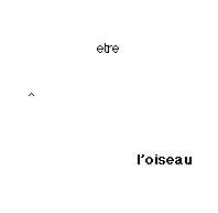 l'oiseau