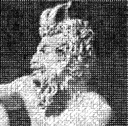 faune