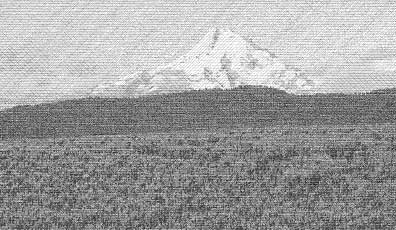 vue
