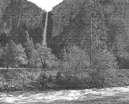 torrent2