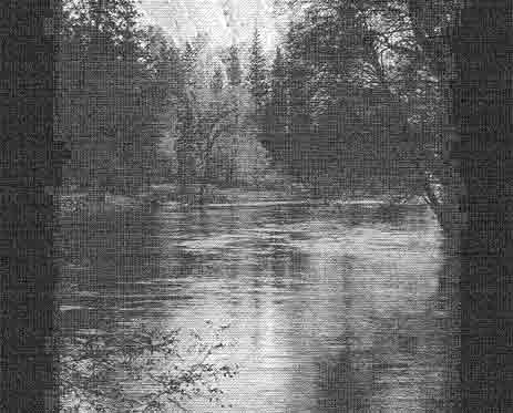 torrent2