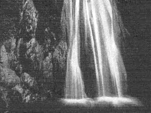 torrent2