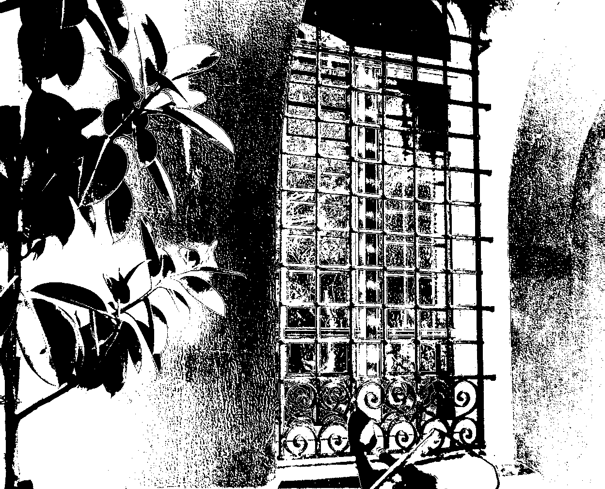 cahoutcouc