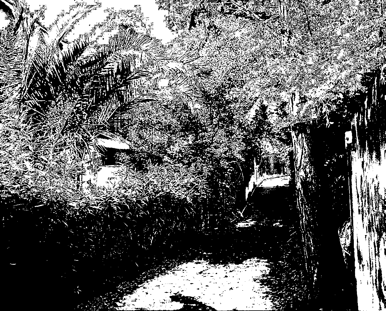 chemin