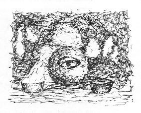 vases